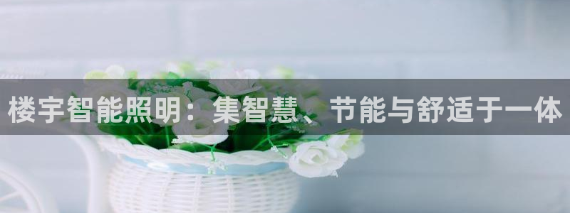 云顶国际服自定义：楼宇智能照明：集智慧、