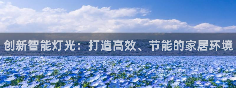云顶集团网投：创新智能灯光：打造高效、节