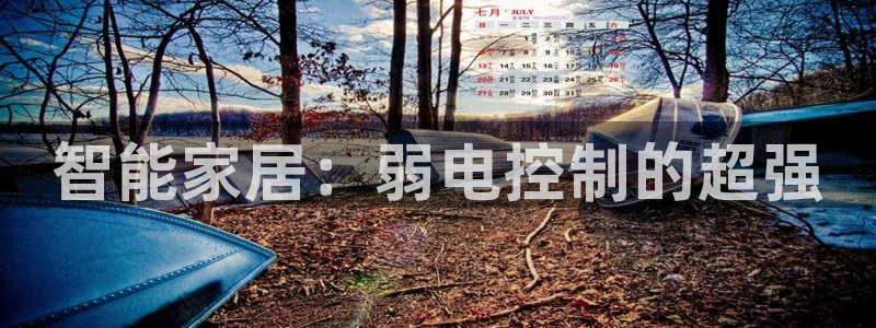 云顶671183：智能家居：弱电控制的超