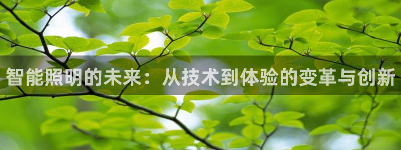 云顶国际是正规游戏吗安全吗
